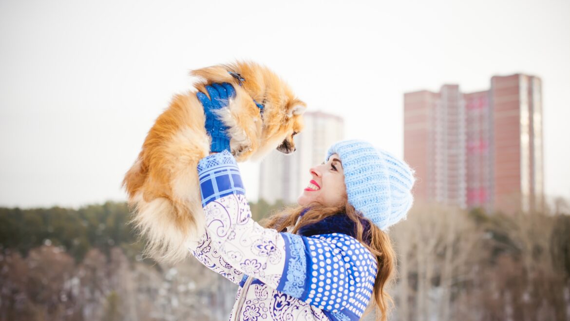 Pomeranian Life Hacks