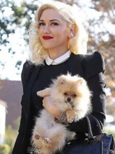 Gwen Stefani