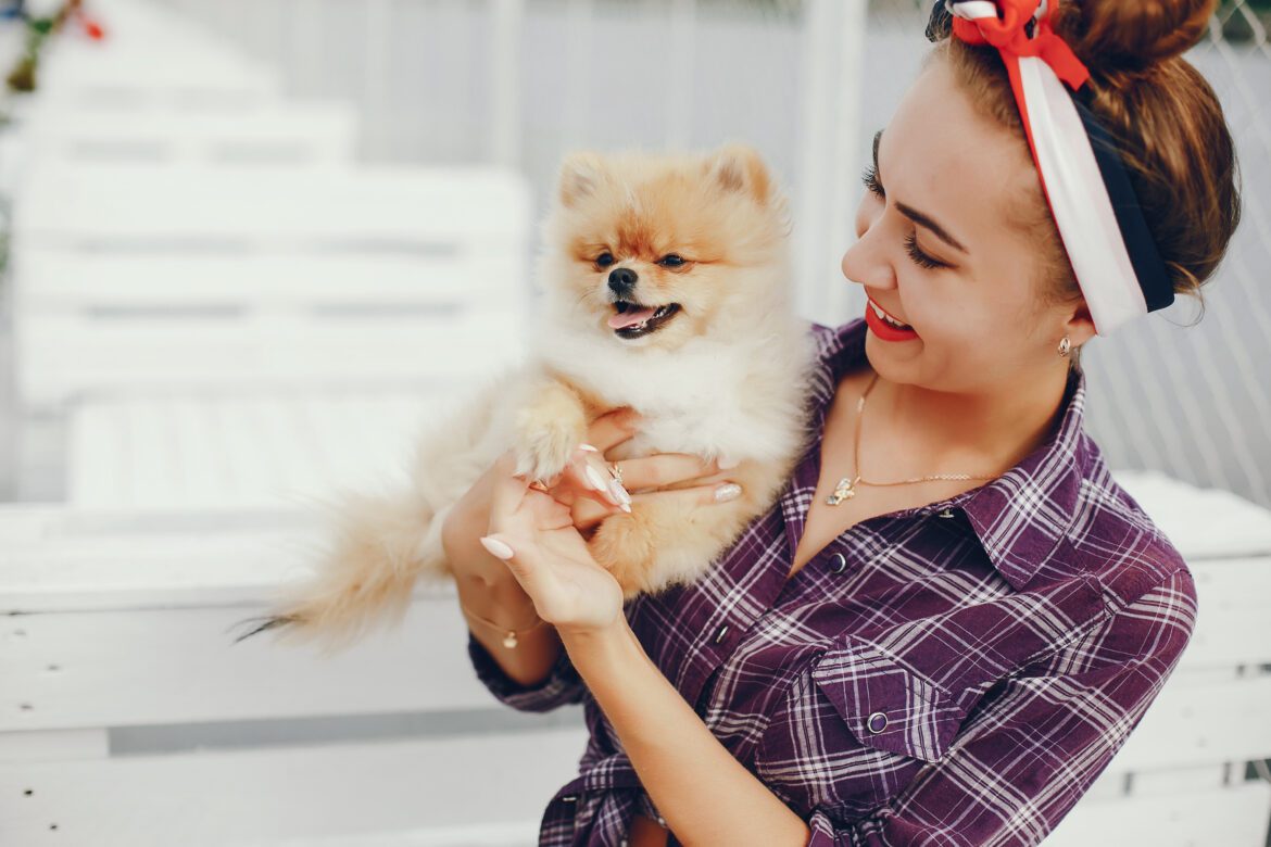 Getting to Know Your Pomeranian