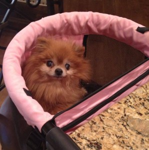 In her high chair