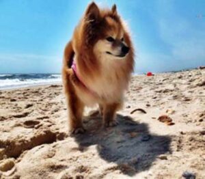 on the beach