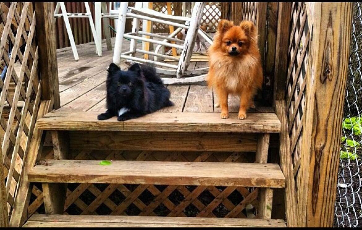 Bambi and Kurtis together