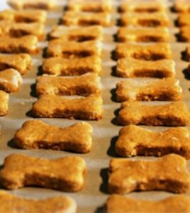 Pomeranian Pumpkin Dog Treat Recipe