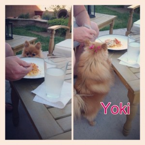 Yoki eating