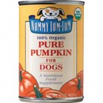 Pumpkin dog treat recipe