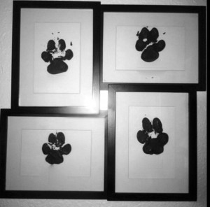 Getting Crafty with Your Pomeranian