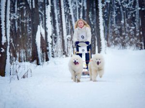 Sled Dog Race in Kharkiv, Ukraine