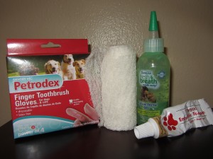 brush your Pomeranian teeth