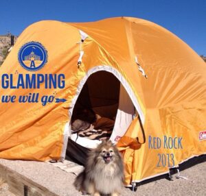 Camping with Pomeranans