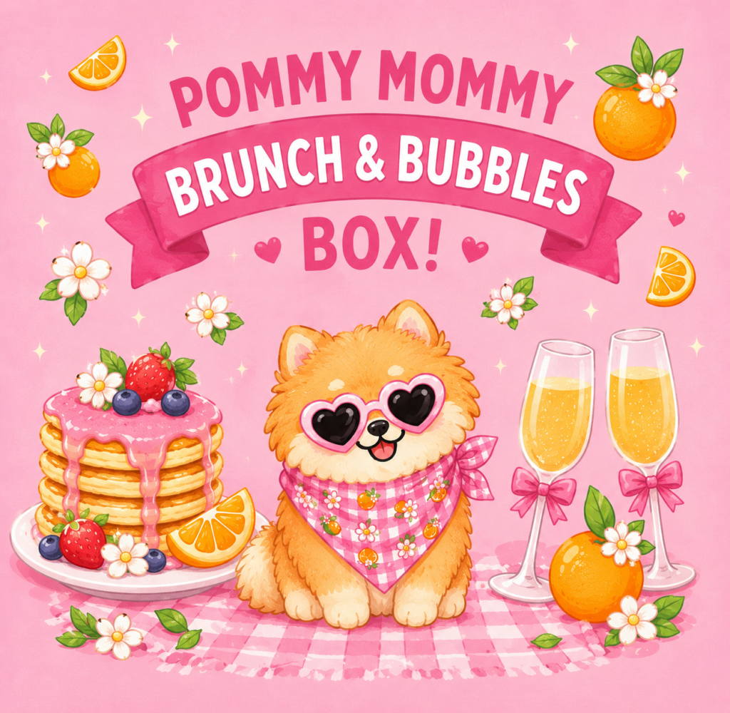 Holiday Pommy Box