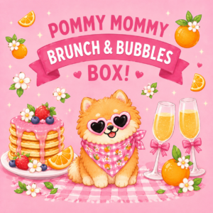 Holiday Pommy Box