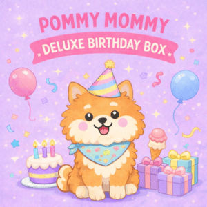 Pommy Mommy Deluxe Birthday Box