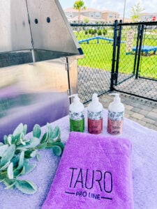 Pro tips for Pomeranian Bath Time